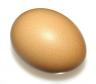 Our thousandth egg